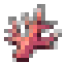 Coral Shard