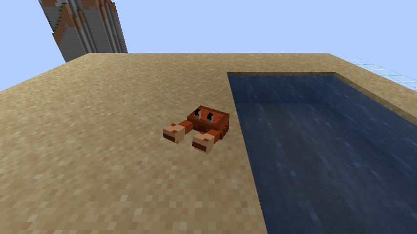 Shore Crab